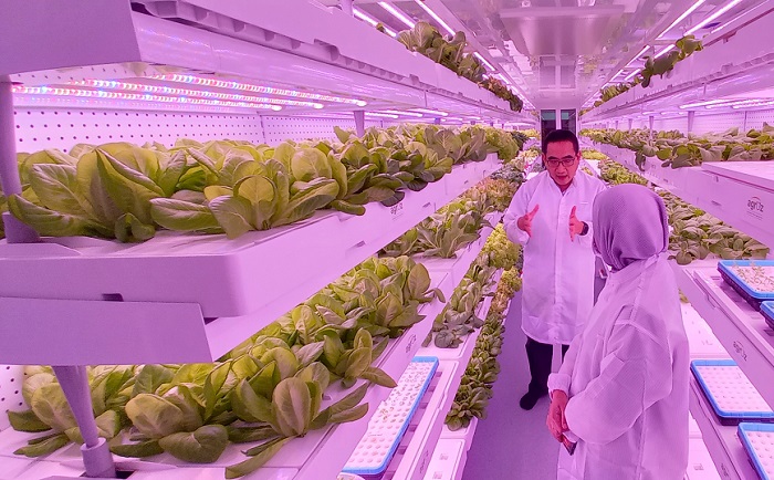 Gerard Lim, founder and CEO of agritech company, Agroz Group, speaking to a grower in his Seri Kembangan indoor vertical farming facility. 