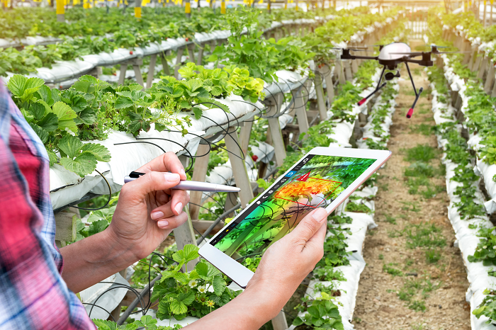 With the pandemic accelerating digitization across the world, expect smart farming suing drones to be part of the new normal in Malaysia, thanks to the robust telco infrastructure in the country.