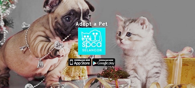 ServisHero and SPCA in online pet adoption drive