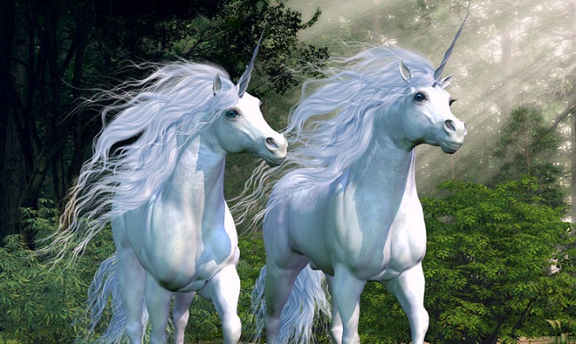 Unicorns: Not quite mythical, but a rarity in South-East Asia