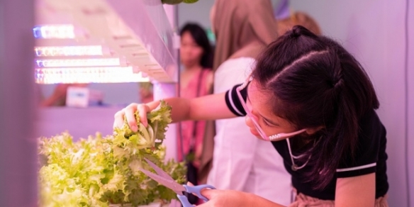 Agritech startup, Agroz launches 8k sq ft vertical farm in mall in KL